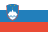 slovenski jezik